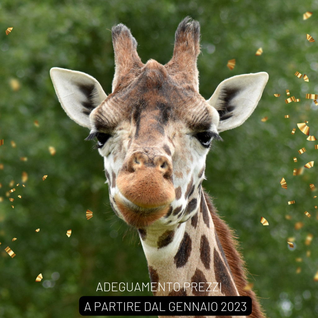 Giraffa con avviso adeguamento prezzi 2023 e coriandoli dorati.